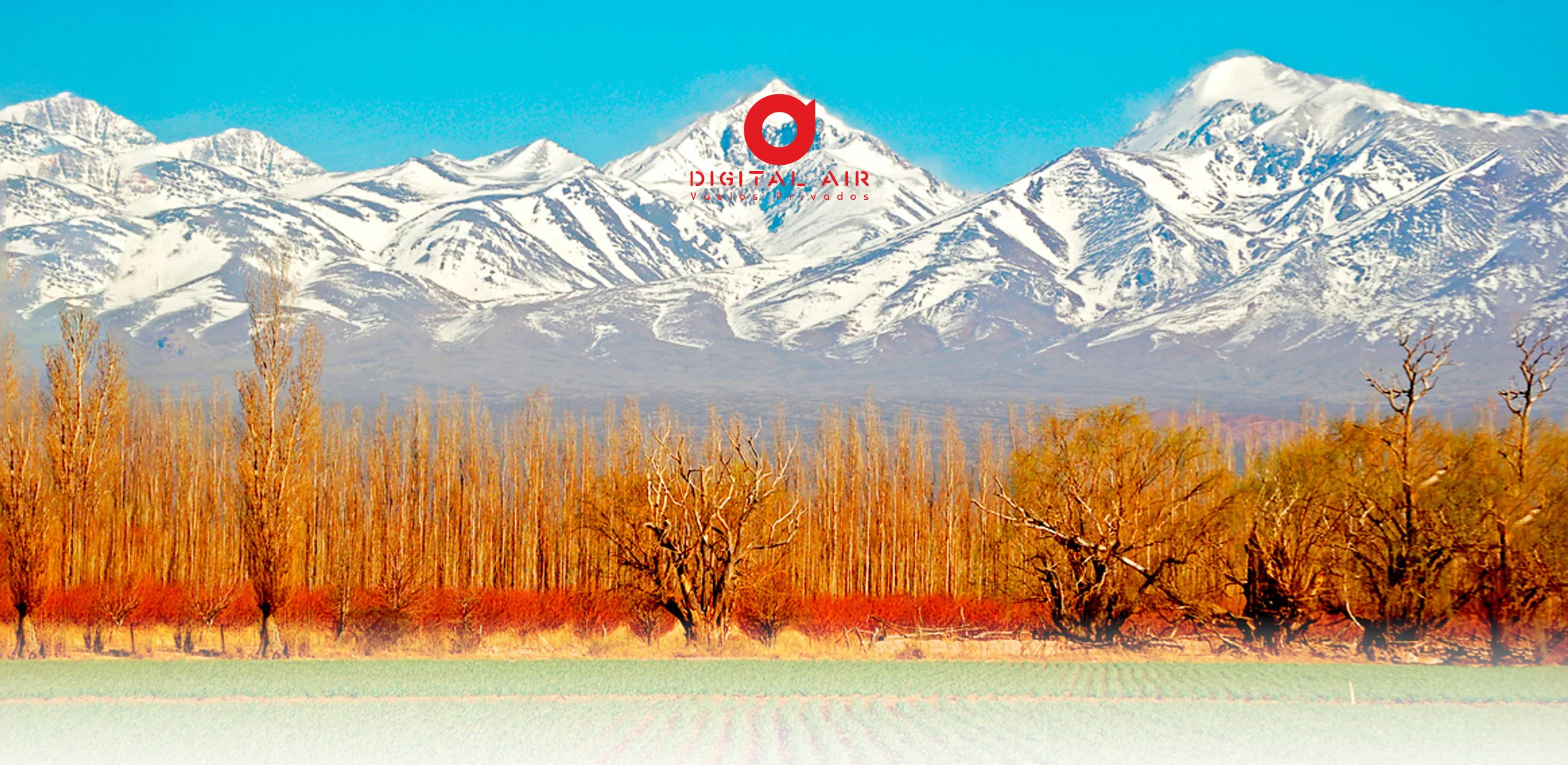 Paisaje de Mendoza con viñedos y montañas de la Cordillera de los Andes